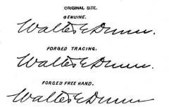 codicil Forgery