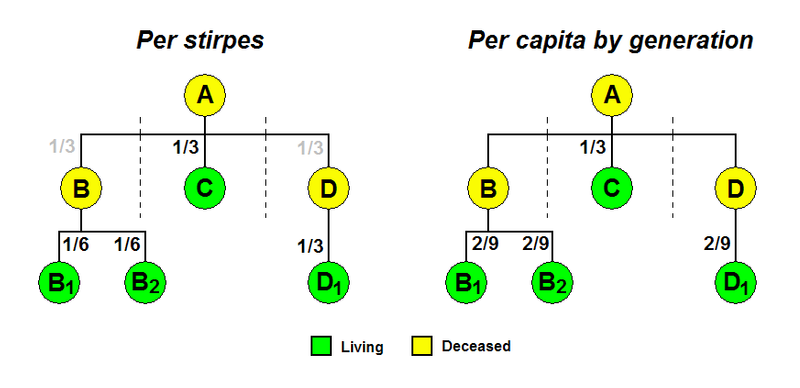 the-difference-between-per-stirpes-per-capita-and-by-representation