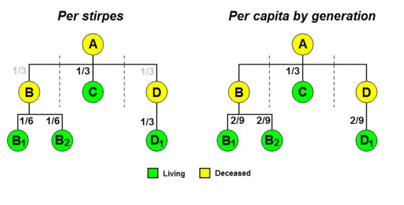 a chart showing the difference between per stirpes and per capita by generation