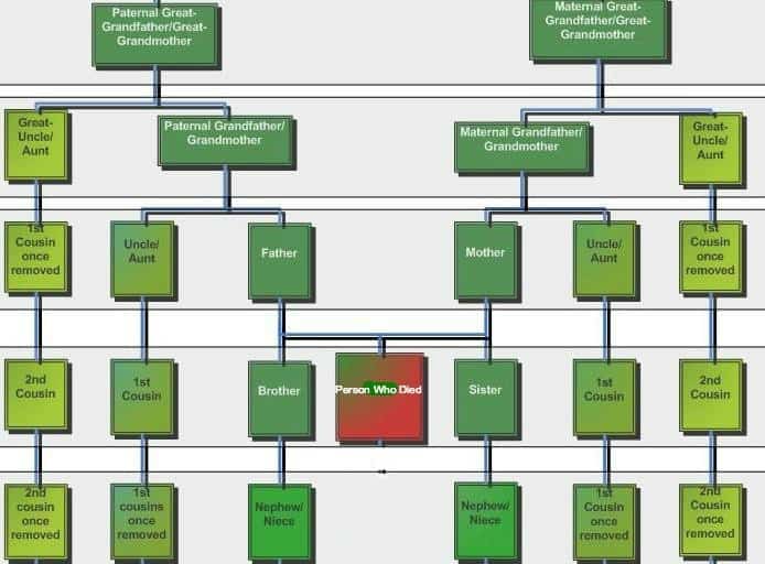 Can Cousins Inherit Under An Intestacy If Yes How And Who Is Involved